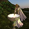 The Friendly Fae