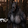 Calm Lycan