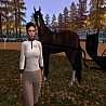 TownGuardian