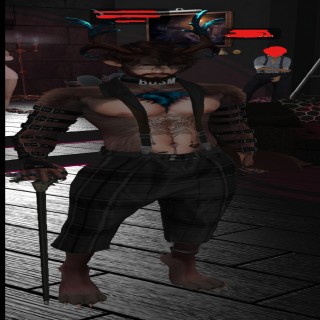 Mr Knight Wolf
