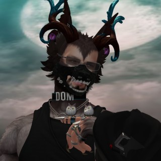 Mr Knight Wolf